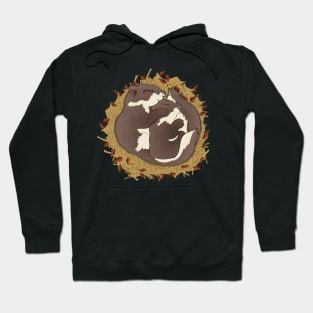 Sleeping Squirrels - Winter Sleep - For Squirrel Lovers - I Love Squirrels Hoodie